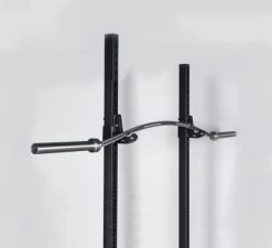 Bells Of Steel Buffalo Bar 2.0