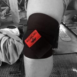 Cerberus Performance Knee Wraps -Professional Fitness Store 4edaa105d5f53590338791951e38c3ad 5d0a75248dabd 600x600 1